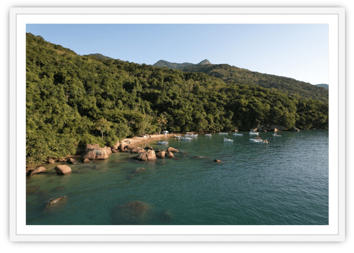 Coastal Calm - The Local Eye Store