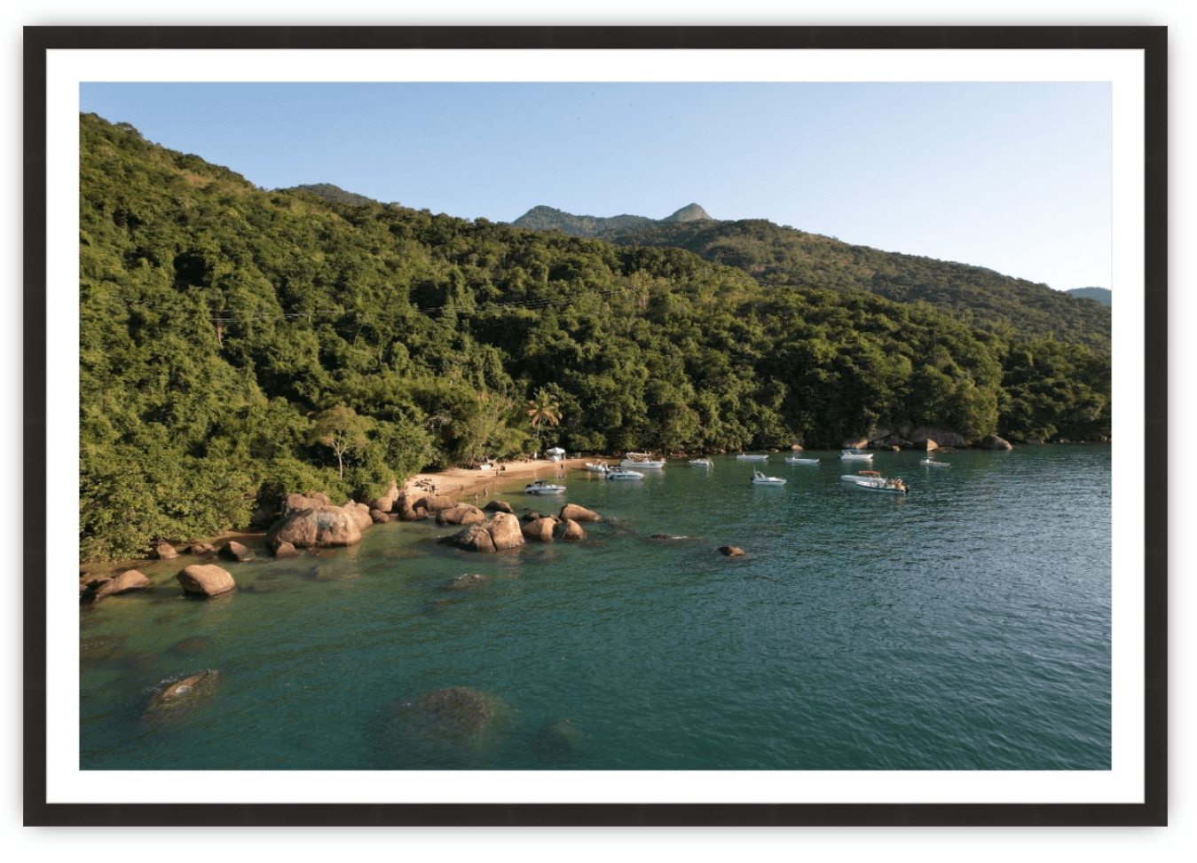 Coastal Calm - The Local Eye Store