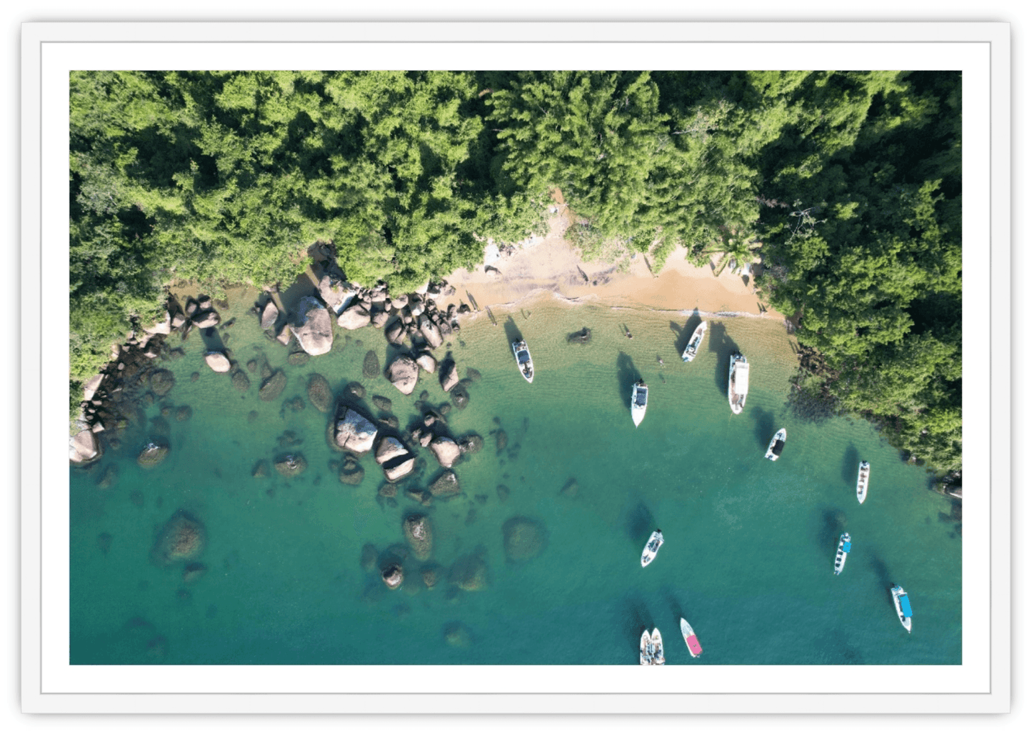 Coastal Calm 2 - The Local Eye Store